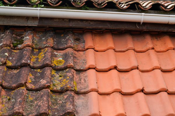 Industrial Roof Cleaning in Fresno